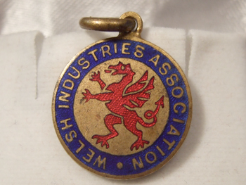 Fig 7.Welsh Industries Association Badge